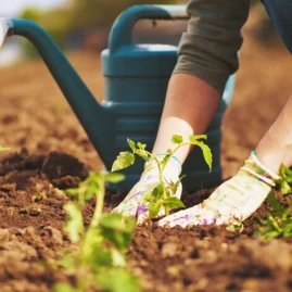 generalvibess Tiktok ads