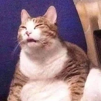 Phố Hàng Lầy Tiktok ads