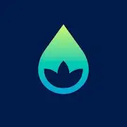 Body Diary Tiktok ads