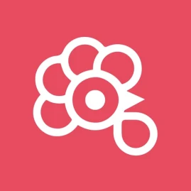 Rooster car insurance Tiktok ads