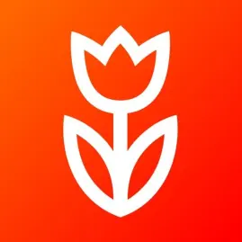 Flowwow: доставка. Маркетплейс Tiktok ads