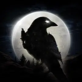 NIGHT CROWS Tiktok ads