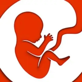 BitLife - Life Simulator Tiktok ads