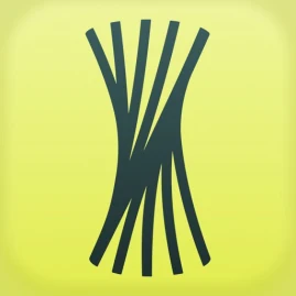 Remento: Record Family Stories Tiktok ads