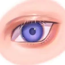 Porcountry Tiktok ads