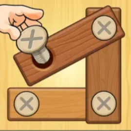 木製ナットとネジゲーム Tiktok ads