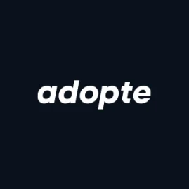 Adopte Tiktok ads