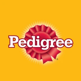 Pedigree Thailand Tiktok ads