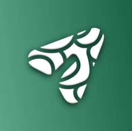 Ask AI App Tiktok ads