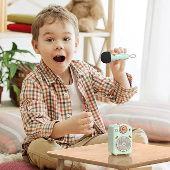 Portable Microphone Speaker | Karaoke