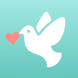 ウェディングニュース Tiktok ads