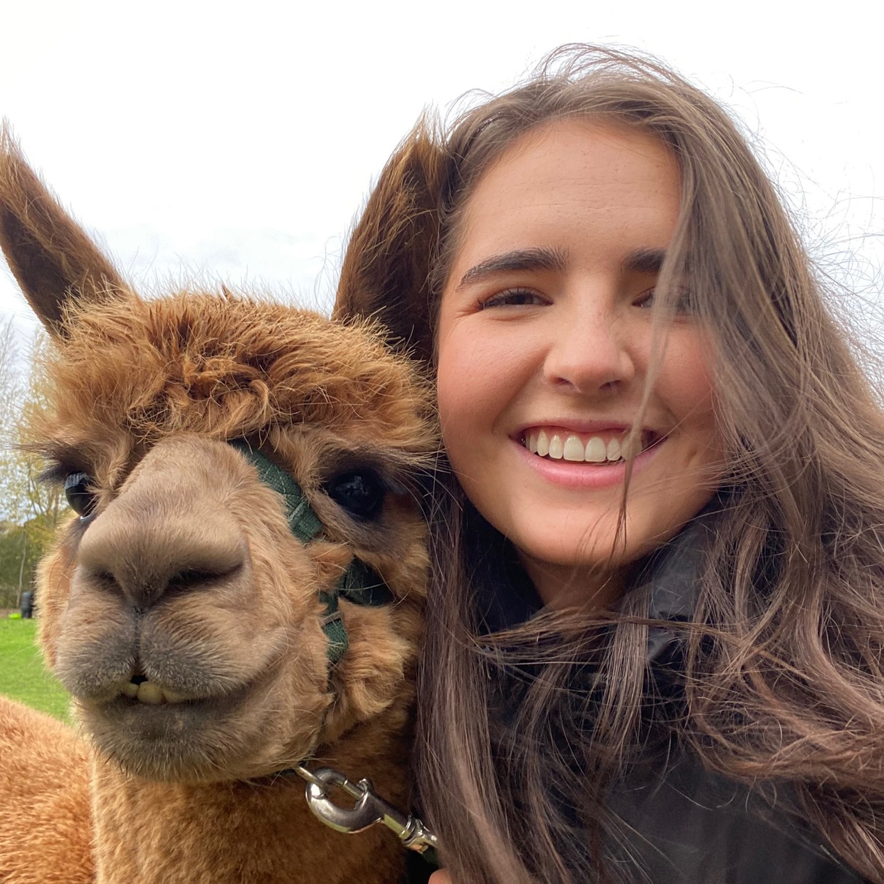 Beth’s Abode | DIY, Home, Reno