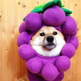 virtualize_rbx Tiktok ads