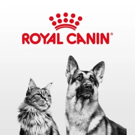Royal Canin Club (TH) Tiktok ads