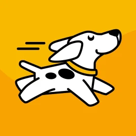 woofz_app Tiktok ads