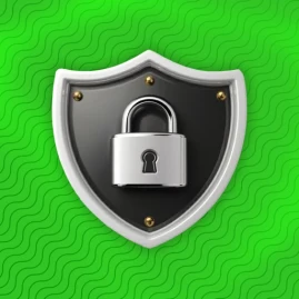 WTMP-guard Tiktok ads