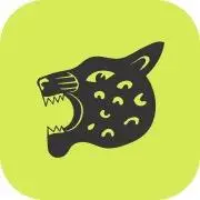 Join Leopard Tiktok ads