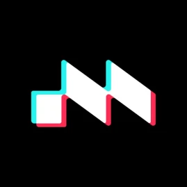 TikTok Music Tiktok ads