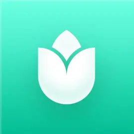 PlantIn: Plant Identifier Tiktok ads