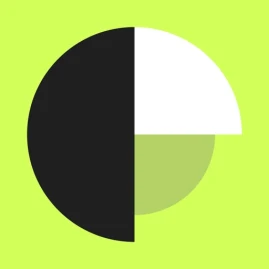 Parrot Finance Tiktok ads