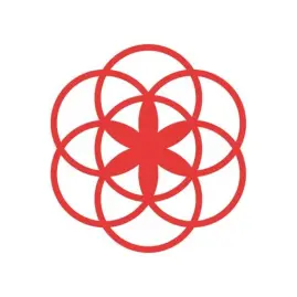 Clue Period & Cycle Tracker Tiktok ads