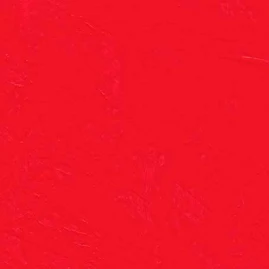 オススメ紹介するマン Tiktok ads