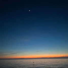 androidapps Tiktok ads