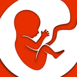 BitLife - Life Simulator Tiktok ads