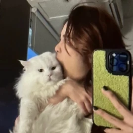 advertisement Tiktok ads