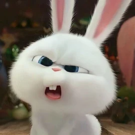 บอฟอใบเฟิน ◡̈ Tiktok ads