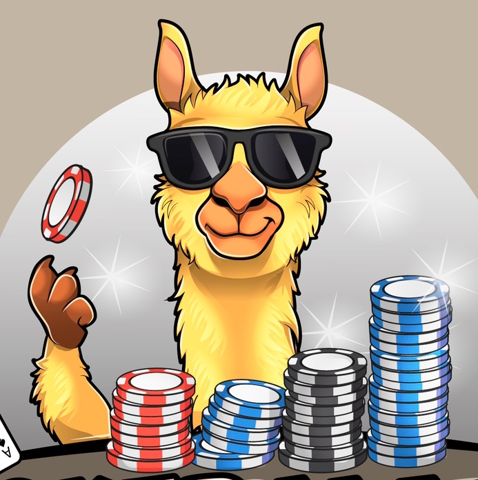 The Llama 🦙™️