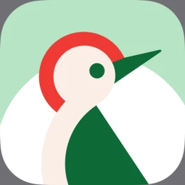 Taptap Send: Money Transfer Tiktok ads