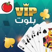 بلوت VIP Tiktok ads