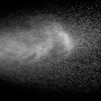 Handheld Mist Sprayer