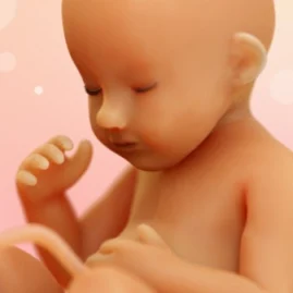 WeMoms ✨ Grossesse & Bébé Tiktok ads