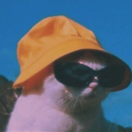 Discover Deals Daily Tiktok ads