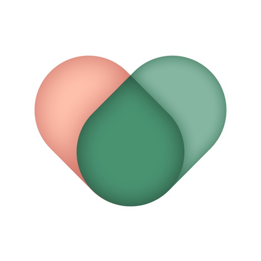 VOS: Well-being Plan & Journal