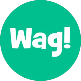 It's Wag! Tiktok ads
