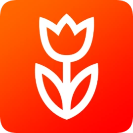 Flowwow: Gifts, Flowers and Food Tiktok ads