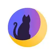 Asnonum: ваша вселенная Tiktok ads