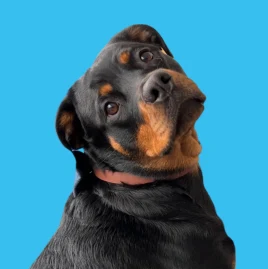 This Girl Emma💙 Tiktok ads