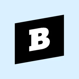 Brainly - The Homework Help App Tiktok ads