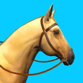 Real Horse 3D Tiktok ads