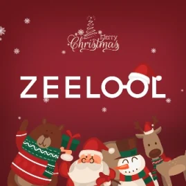 Zeelool Tiktok ads