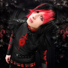 Aiden Skye Tiktok ads