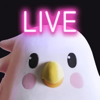 하쿠나라이브 Tiktok ads