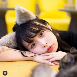 まいぱん🍞 Tiktok ads