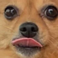 🦀BRENDEN🦀 Tiktok ads