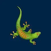 Bostik Pro Tiktok ads