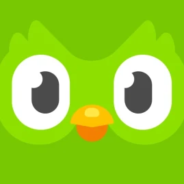 Duolingo - Language Lessons Tiktok ads